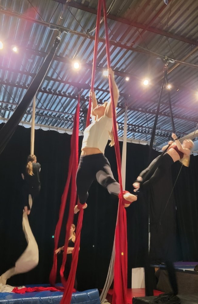 Aerial Circus - Image 6