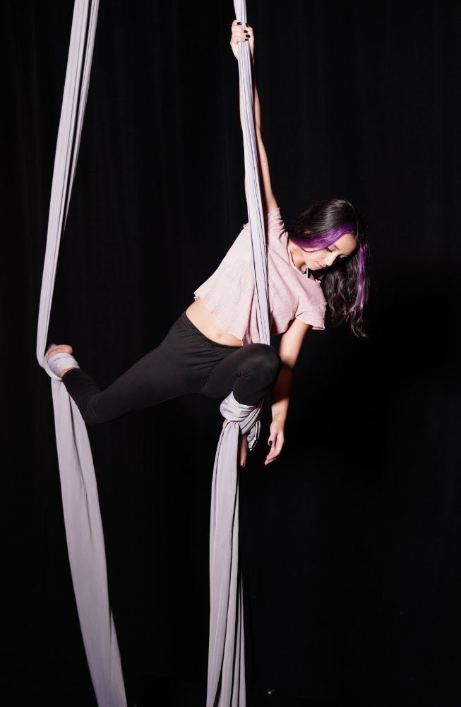 Aerial Circus - Image 3